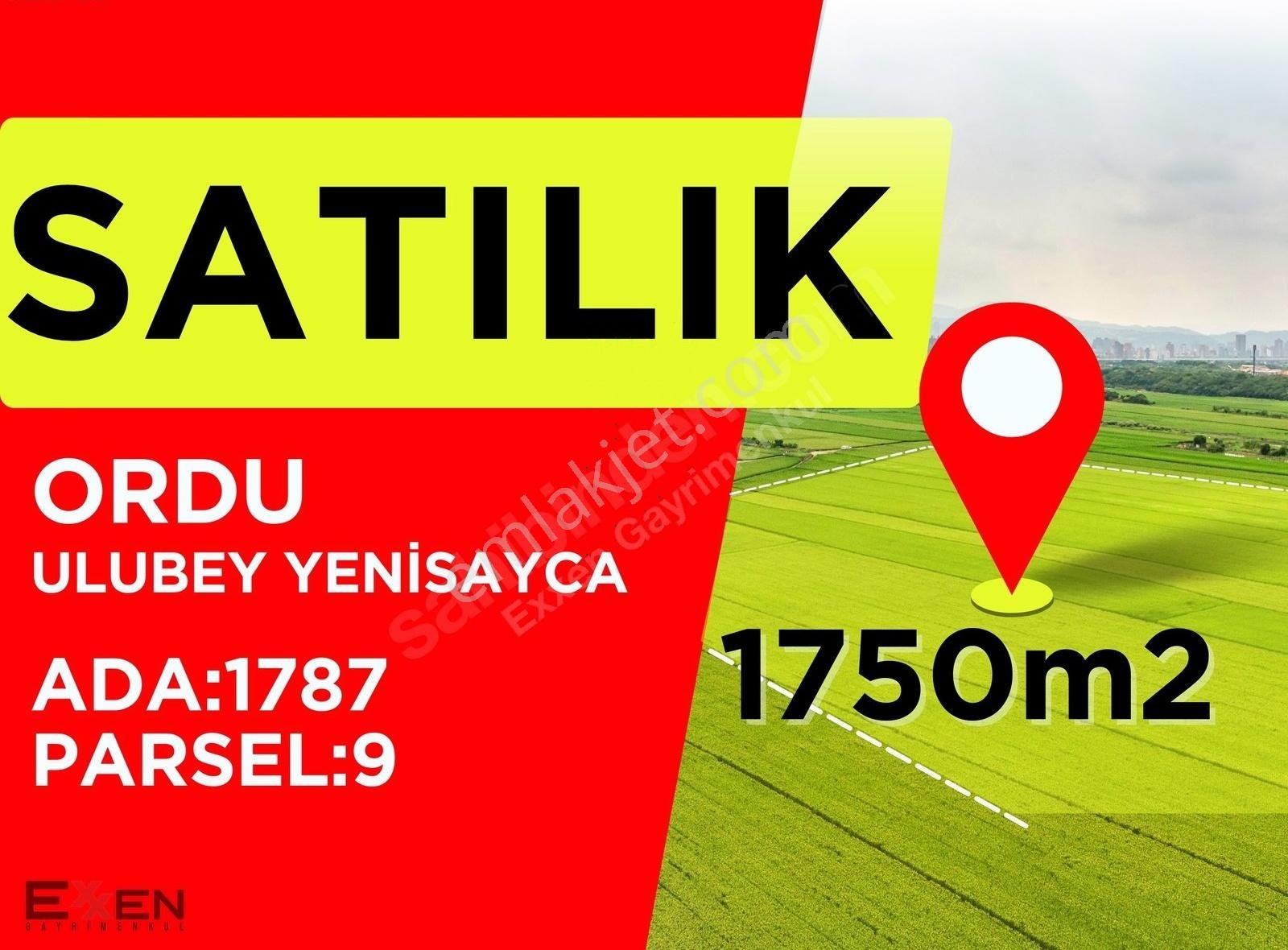 Satılık- Ordu Ulubey Yenisayaca Yerleşim Yerinde Satılık 1.750m2