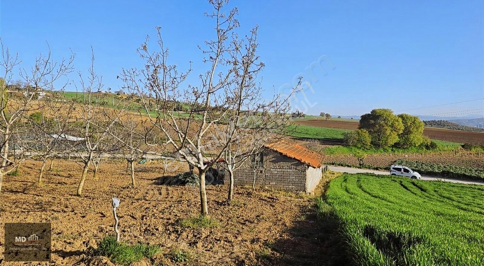 Bursa Yenişehir Alaylı Köyünde Toplam 19.375m² Köy İmarlı Tarla - Görsel 11