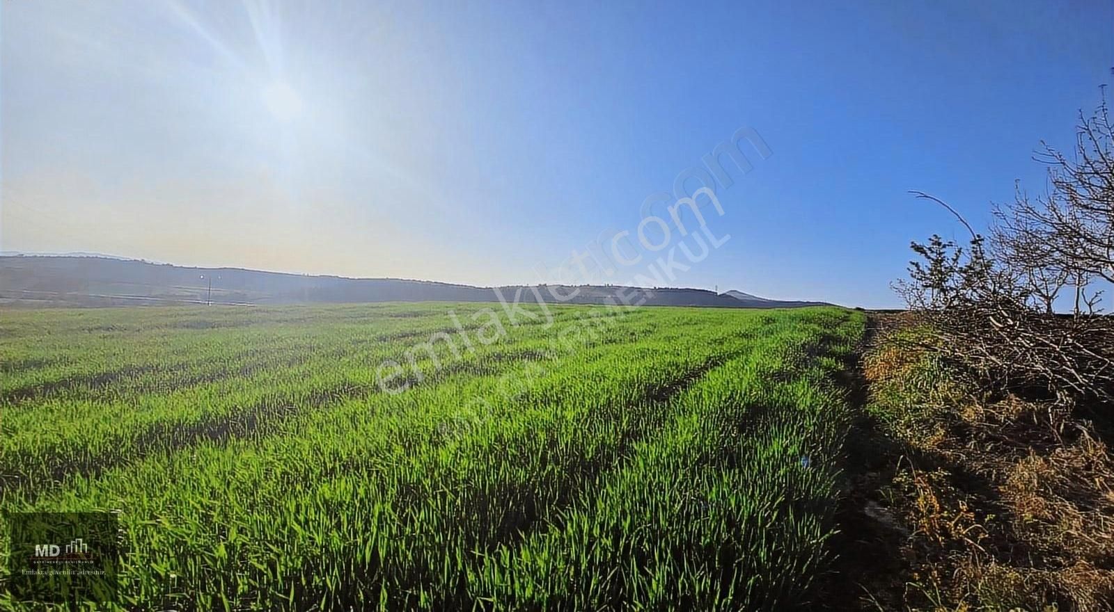 Bursa Yenişehir Alaylı Köyünde Toplam 19.375m² Köy İmarlı Tarla - Görsel 10