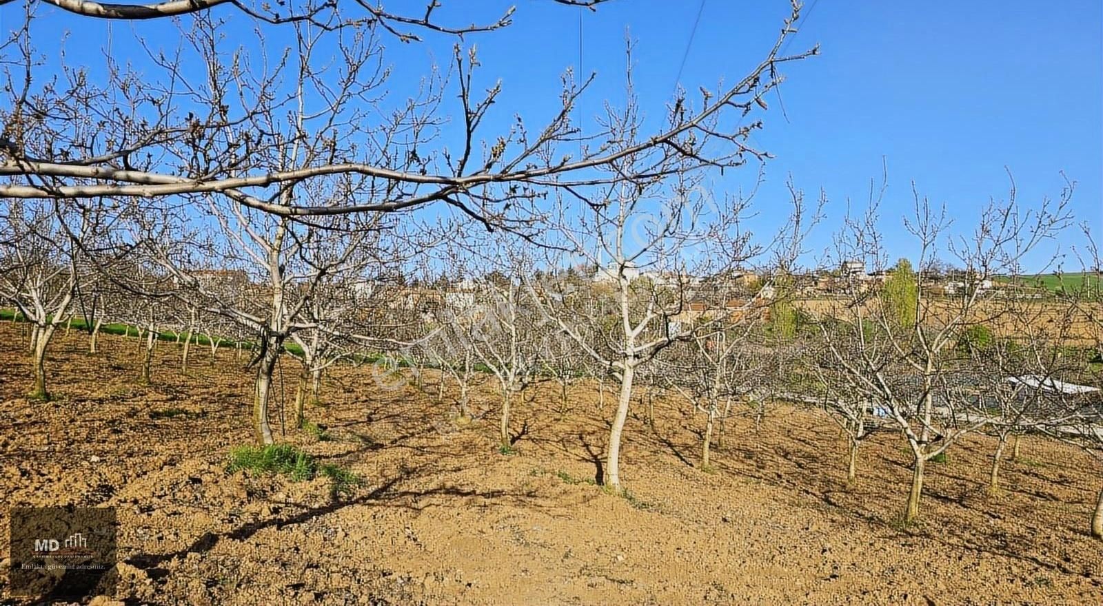 Bursa Yenişehir Alaylı Köyünde Toplam 19.375m² Köy İmarlı Tarla - Görsel 18