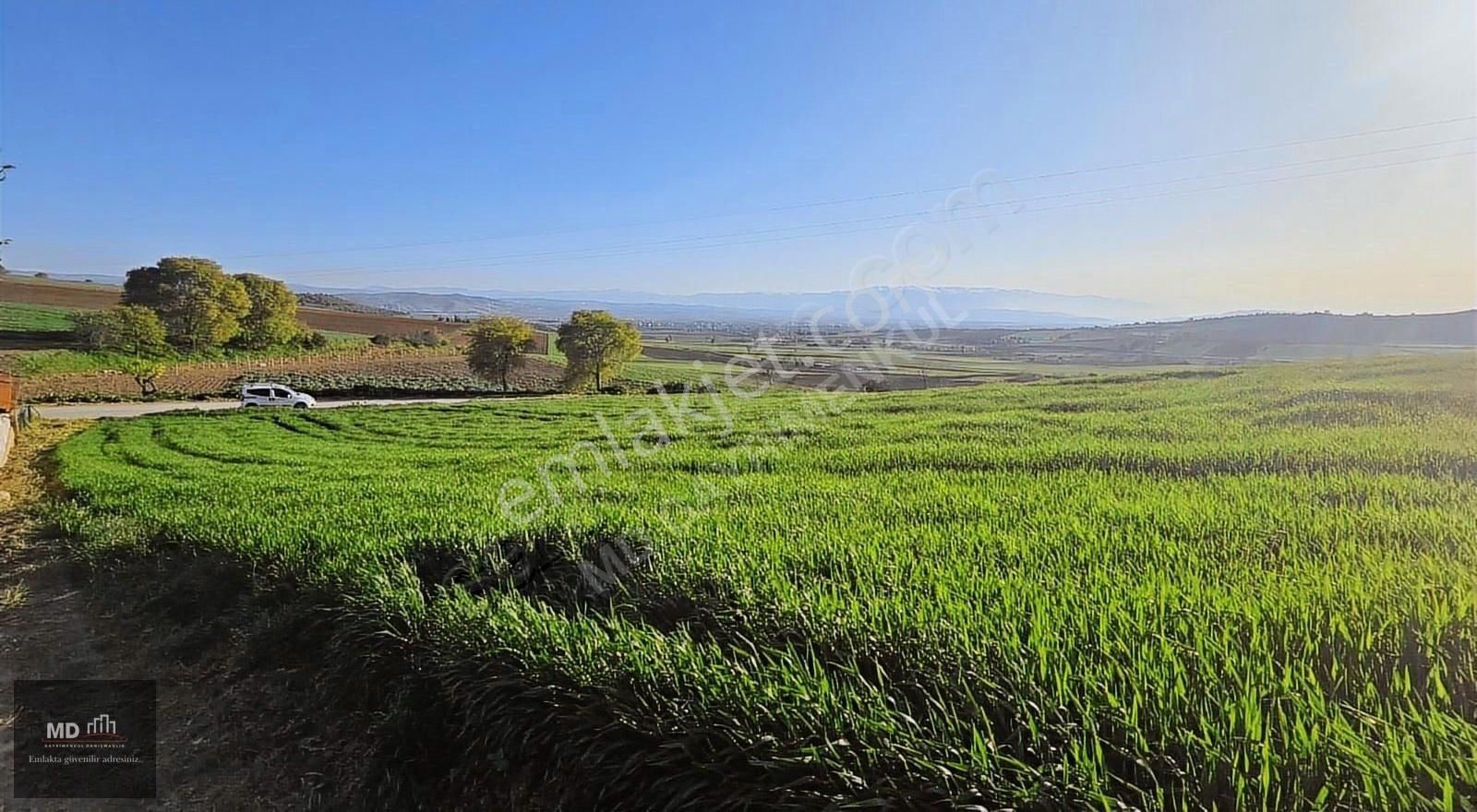 Bursa Yenişehir Alaylı Köyünde Toplam 19.375m² Köy İmarlı Tarla - Görsel 5