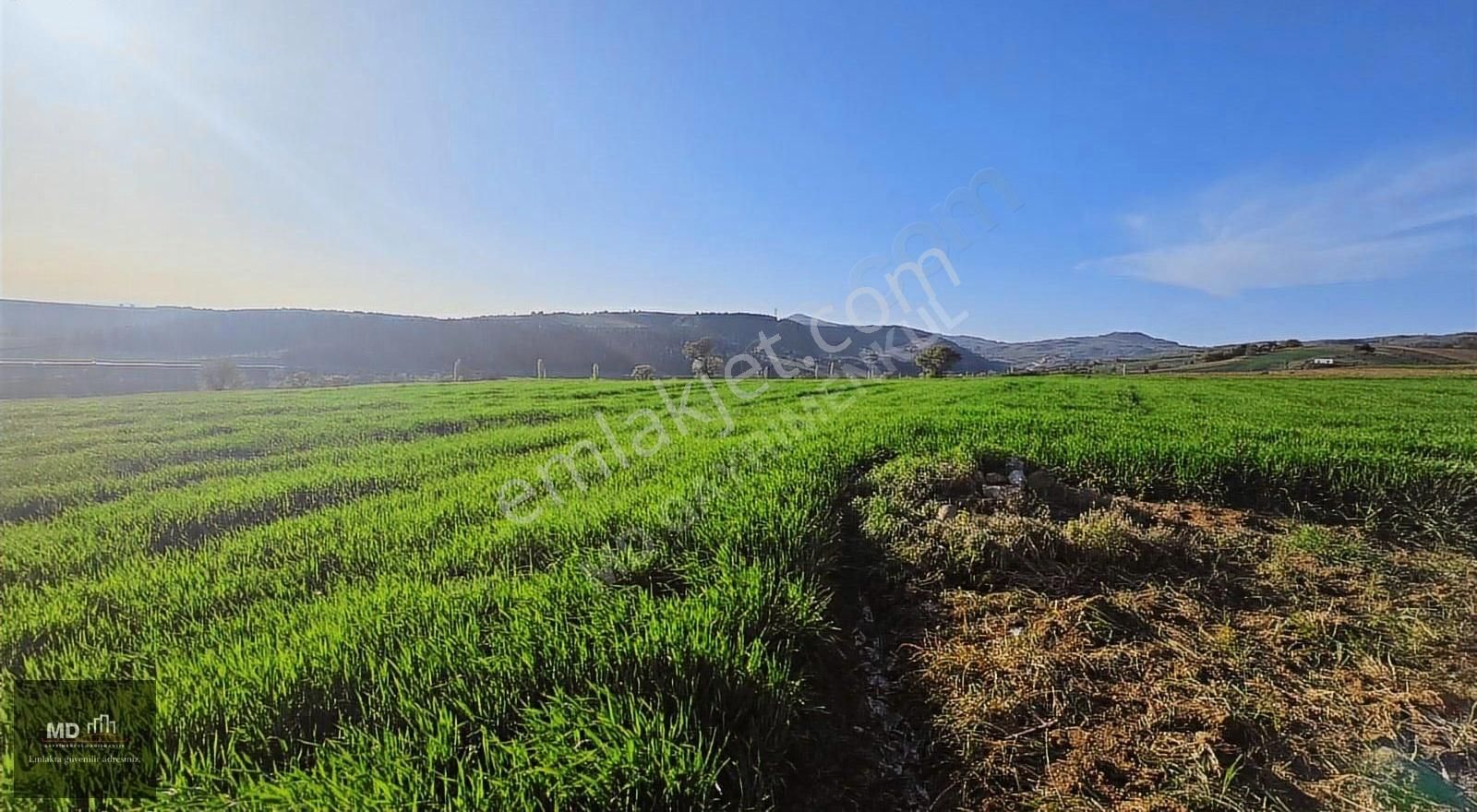 Bursa Yenişehir Alaylı Köyünde Toplam 19.375m² Köy İmarlı Tarla - Görsel 29