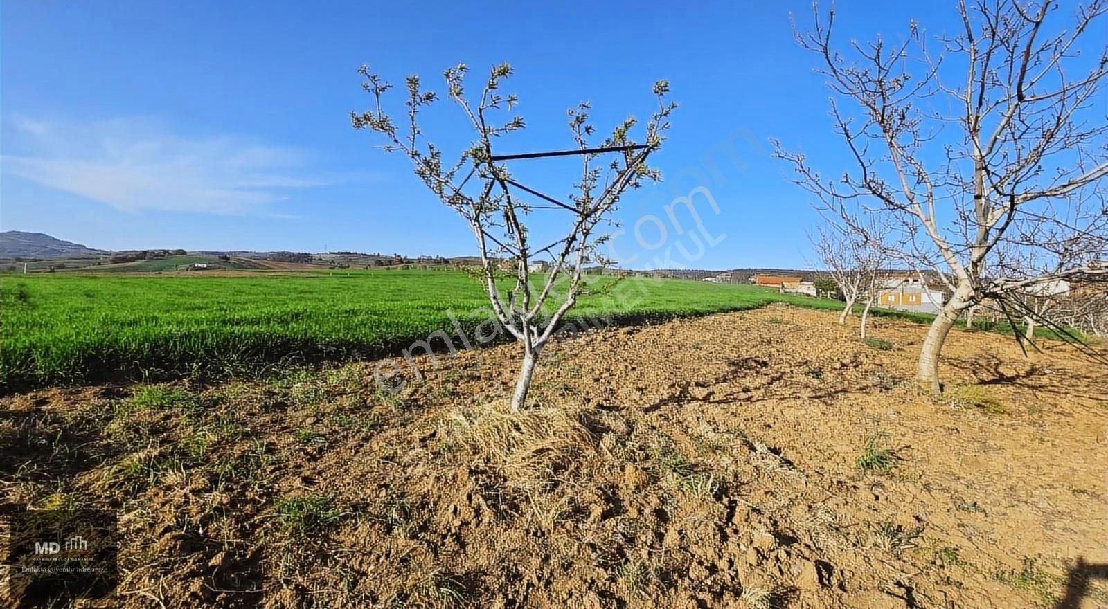 Bursa Yenişehir Alaylı Köyünde Toplam 19.375m² Köy İmarlı Tarla - Görsel 2