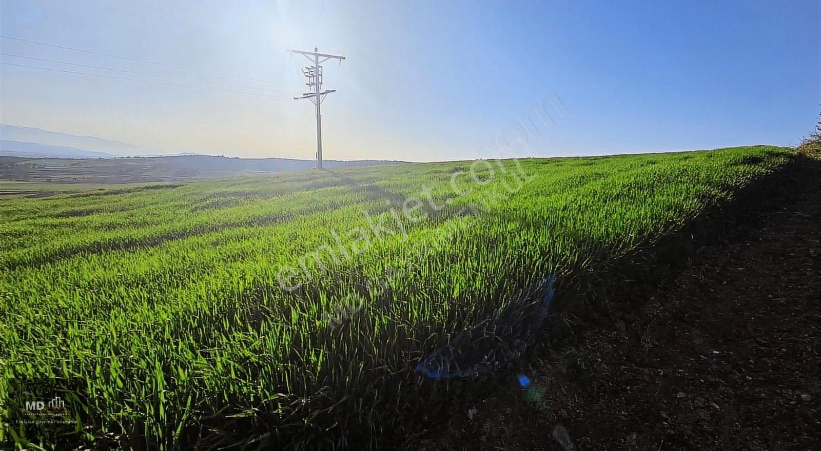 Bursa Yenişehir Alaylı Köyünde Toplam 19.375m² Köy İmarlı Tarla - Görsel 20