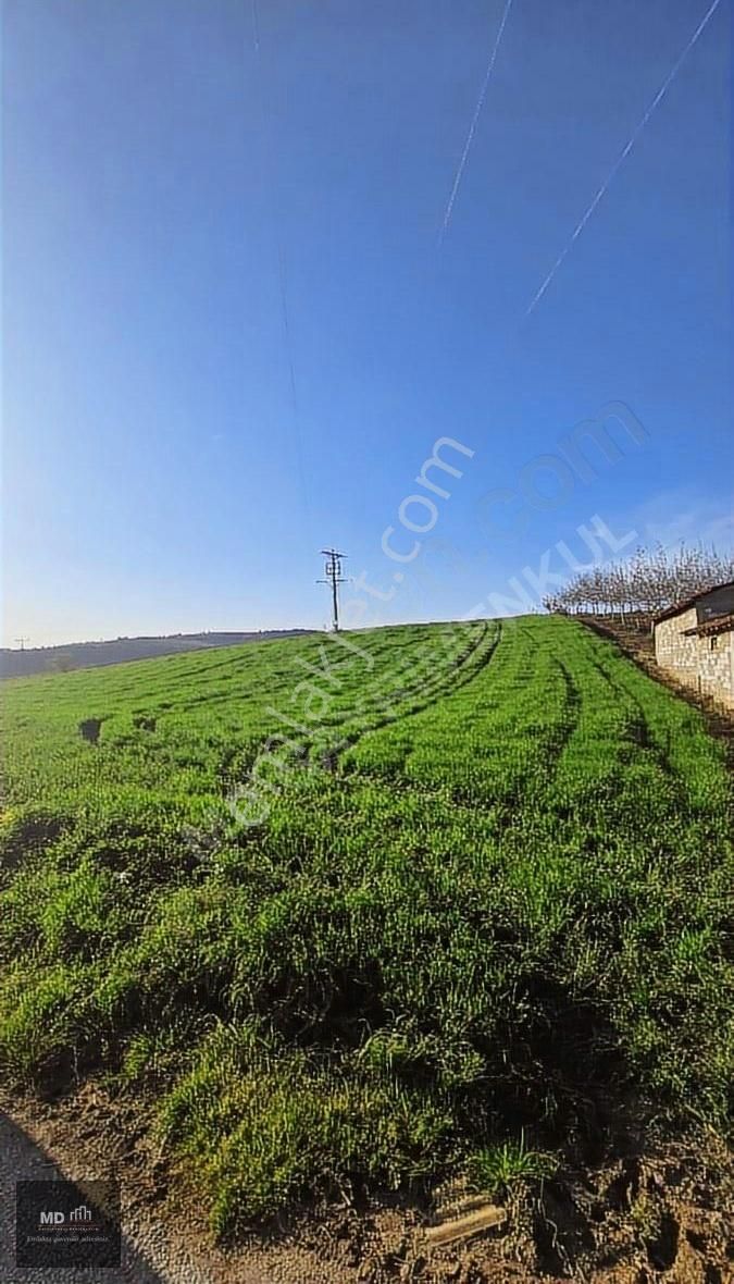 Bursa Yenişehir Alaylı Köyünde Toplam 19.375m² Köy İmarlı Tarla - Görsel 24