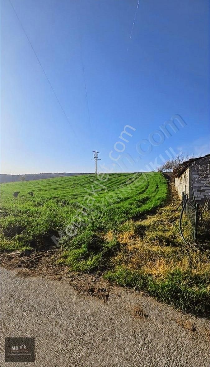 Bursa Yenişehir Alaylı Köyünde Toplam 19.375m² Köy İmarlı Tarla - Görsel 9