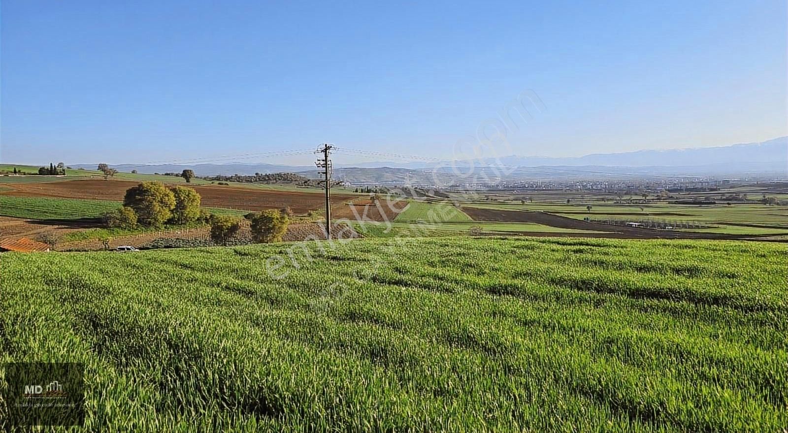 Bursa Yenişehir Alaylı Köyünde Toplam 19.375m² Köy İmarlı Tarla - Görsel 4