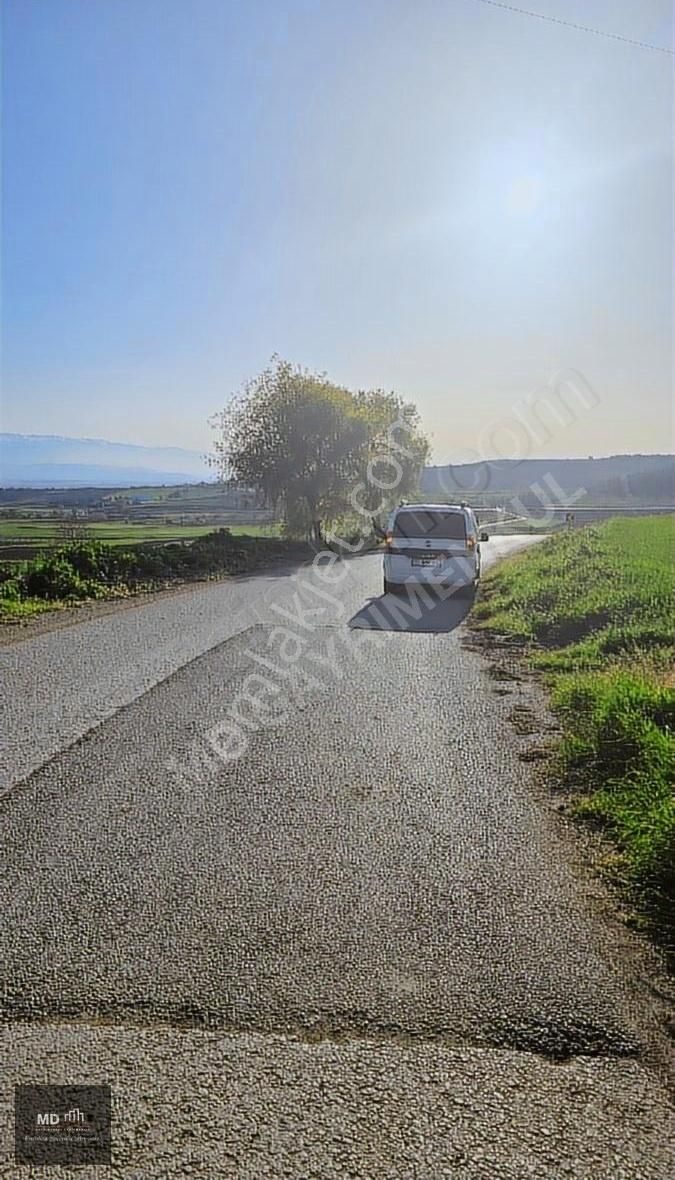 Bursa Yenişehir Alaylı Köyünde Toplam 19.375m² Köy İmarlı Tarla - Görsel 23