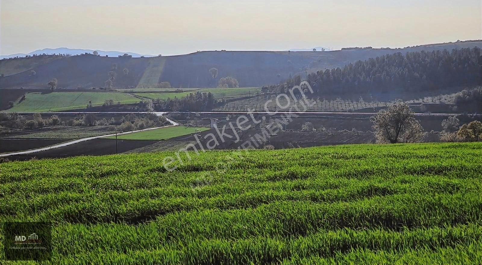 Bursa Yenişehir Alaylı Köyünde Toplam 19.375m² Köy İmarlı Tarla - Görsel 7