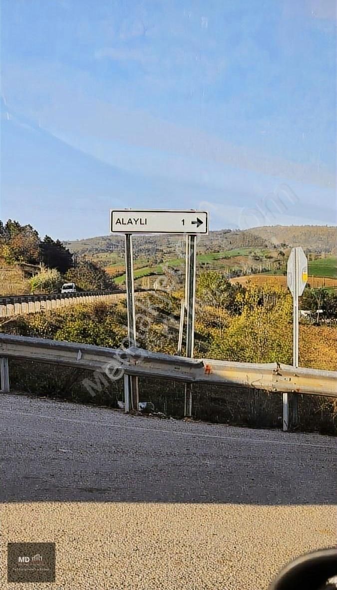 Bursa Yenişehir Alaylı Köyünde Toplam 19.375m² Köy İmarlı Tarla