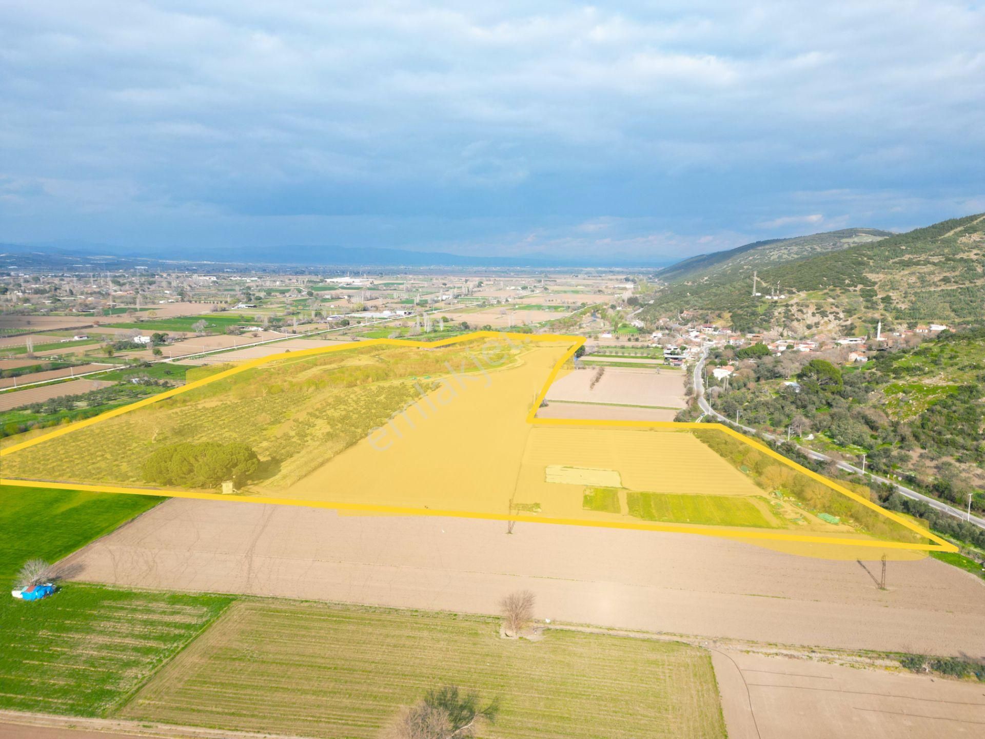 Bergama Sindel'de Harika Konumda Tarla