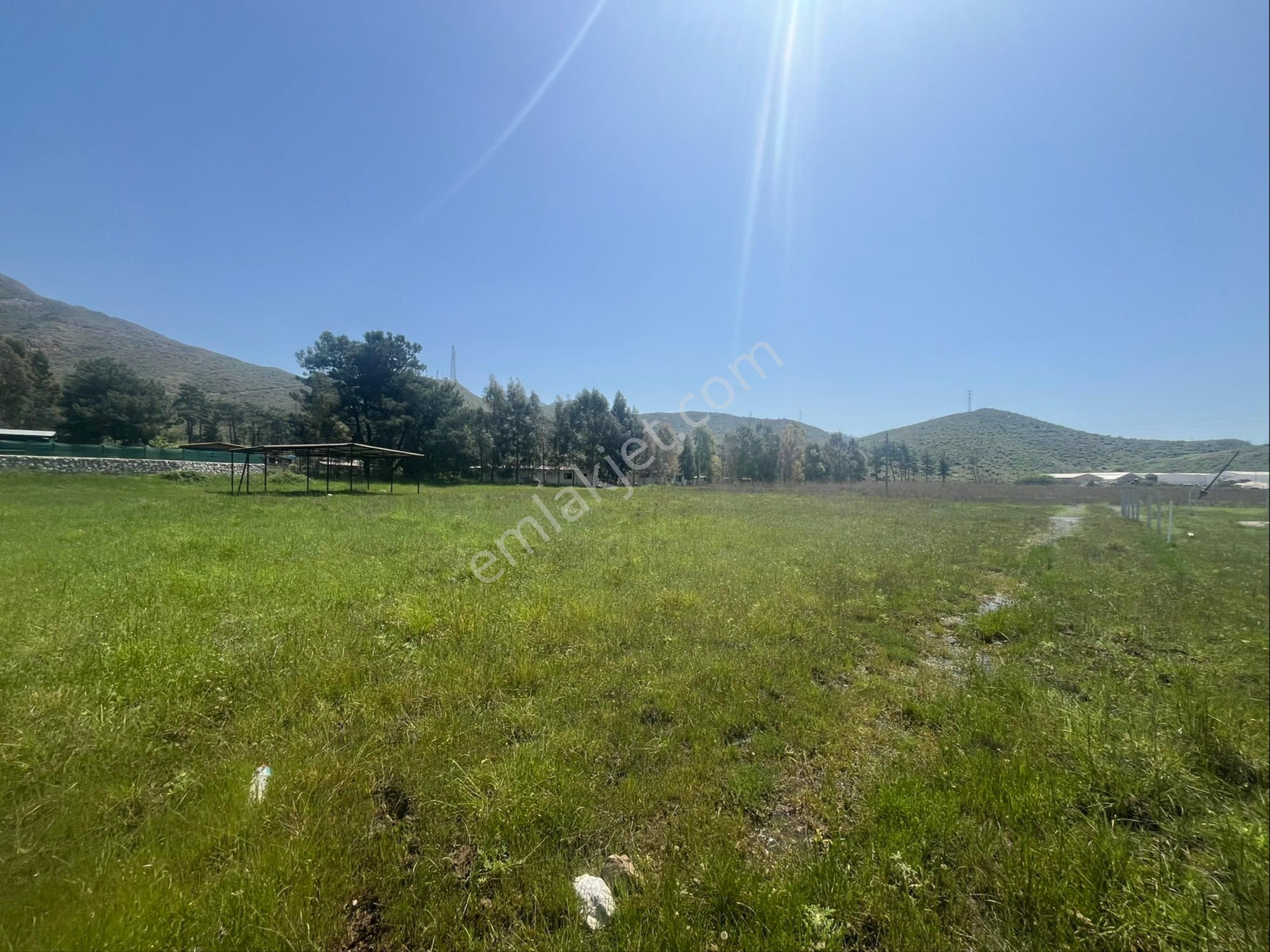 Hisar Önü Dibek Tepe Mevki Arazi - Görsel 12