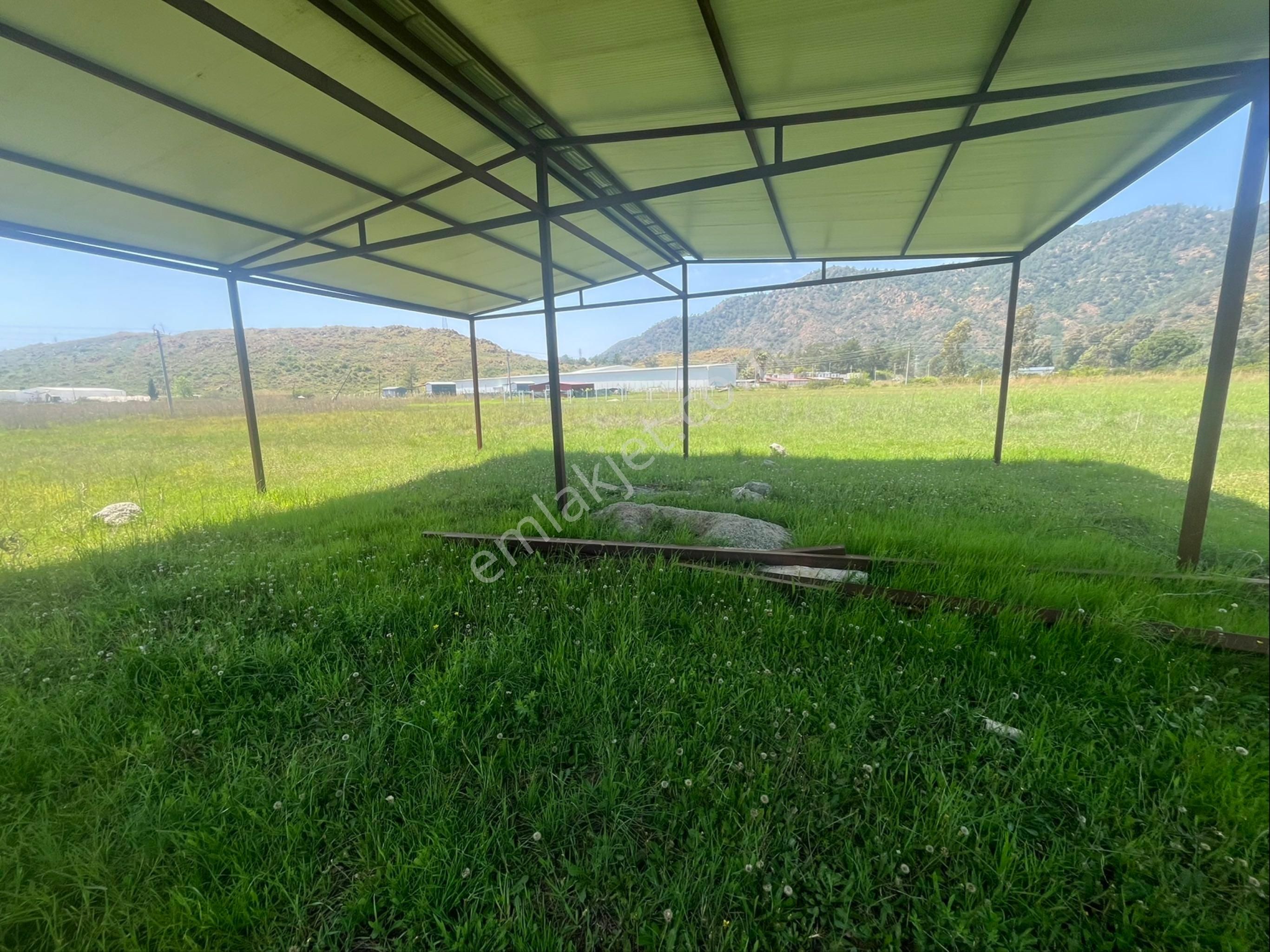 Hisar Önü Dibek Tepe Mevki Arazi - Görsel 9