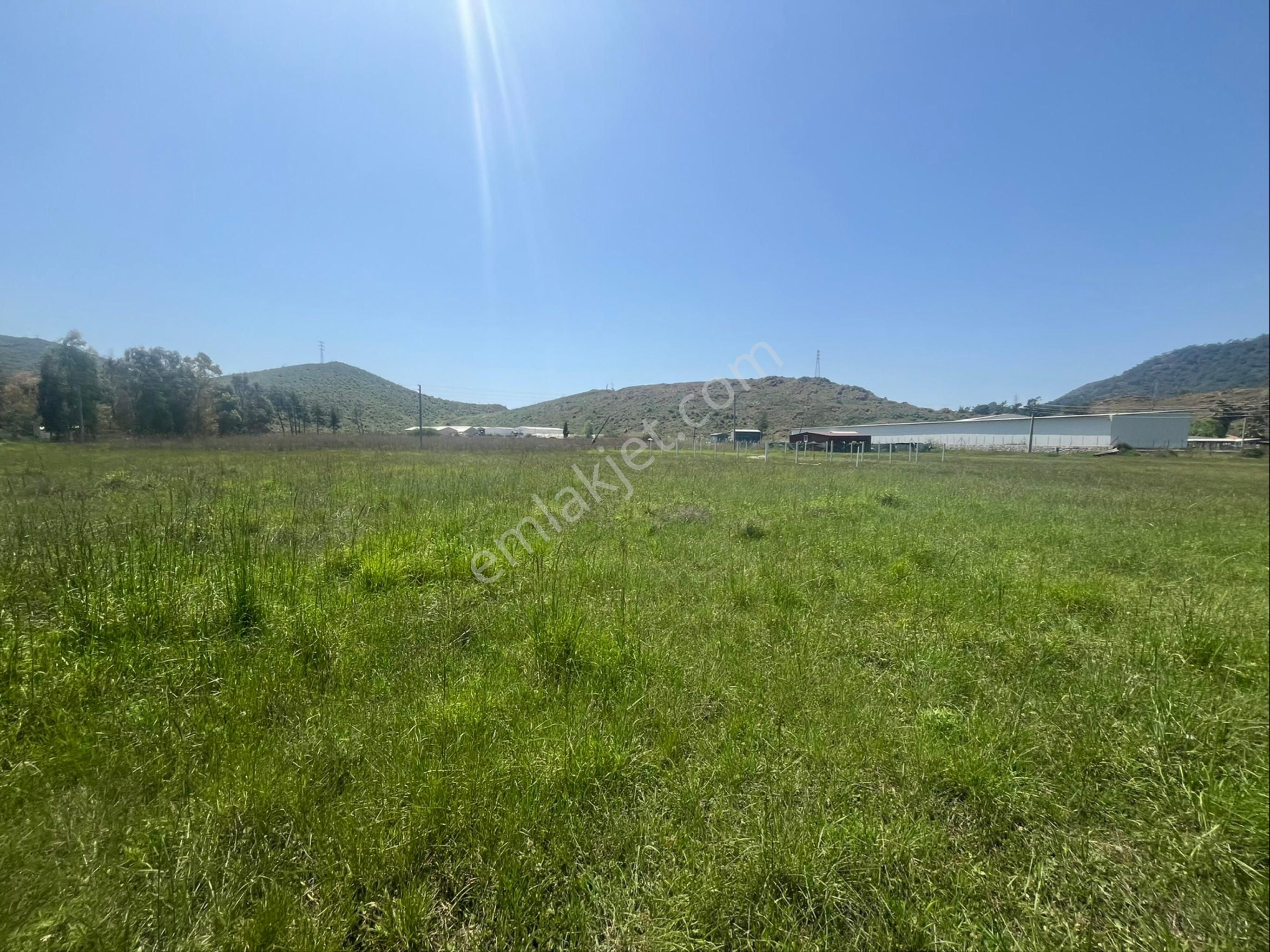 Hisar Önü Dibek Tepe Mevki Arazi - Görsel 3