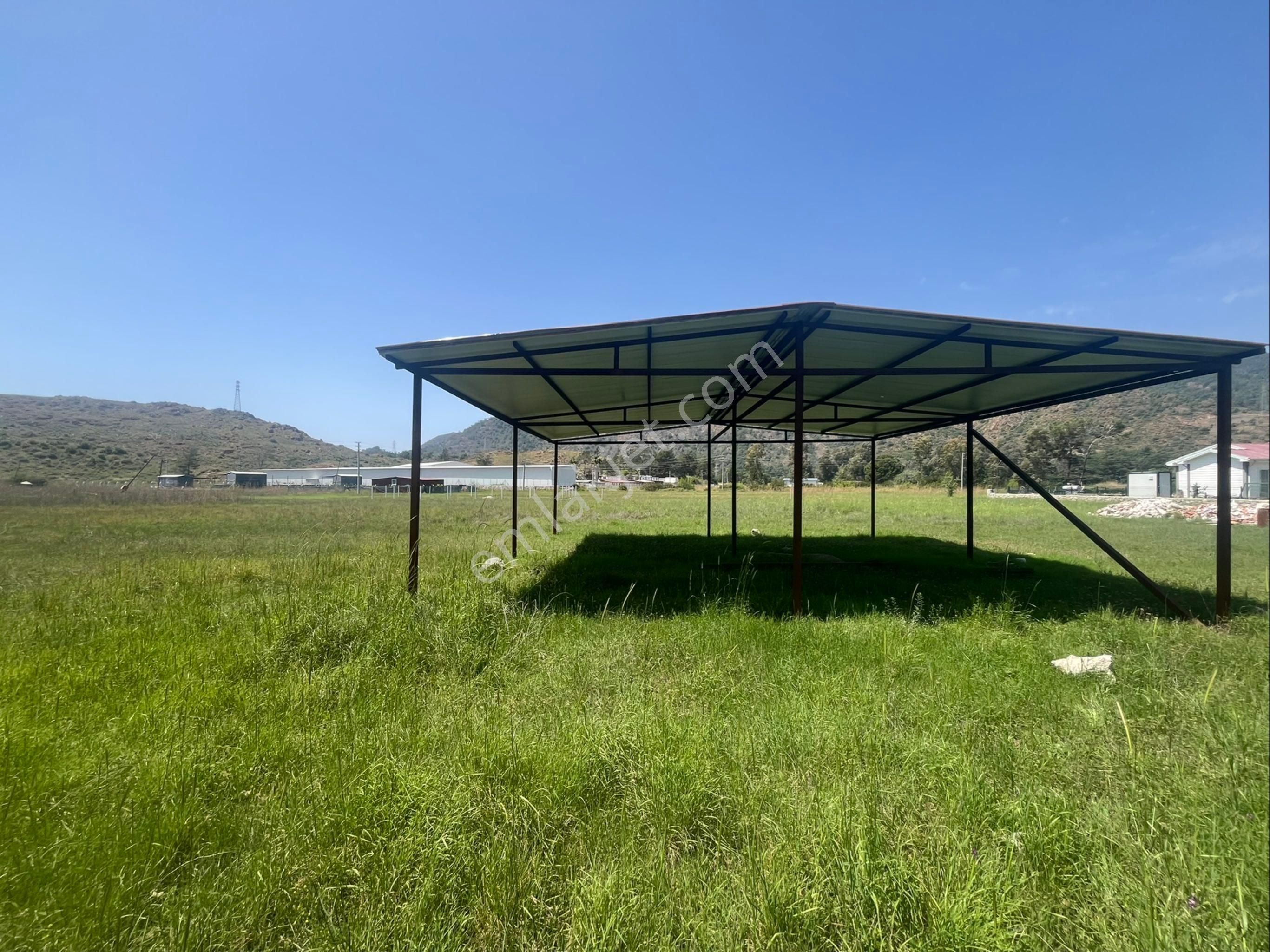 Hisar Önü Dibek Tepe Mevki Arazi - Görsel 11