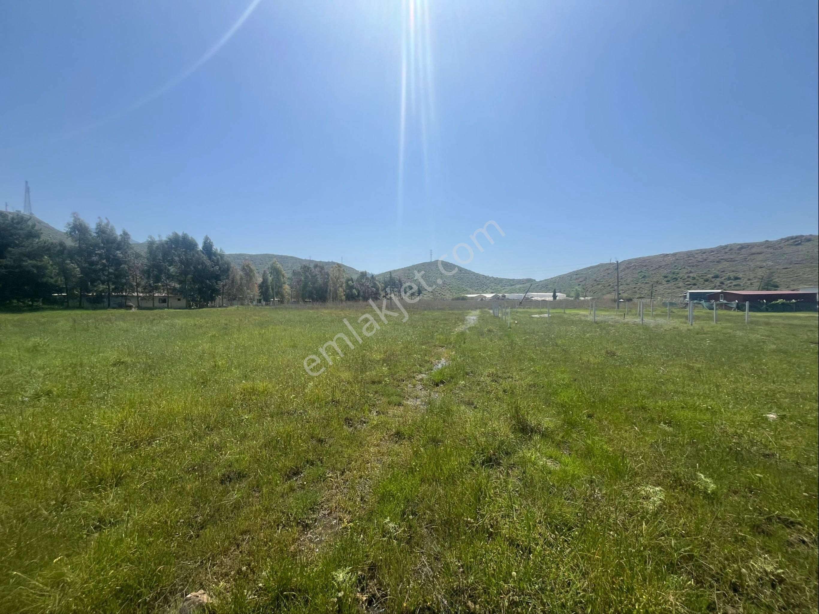 Hisar Önü Dibek Tepe Mevki Arazi - Görsel 10