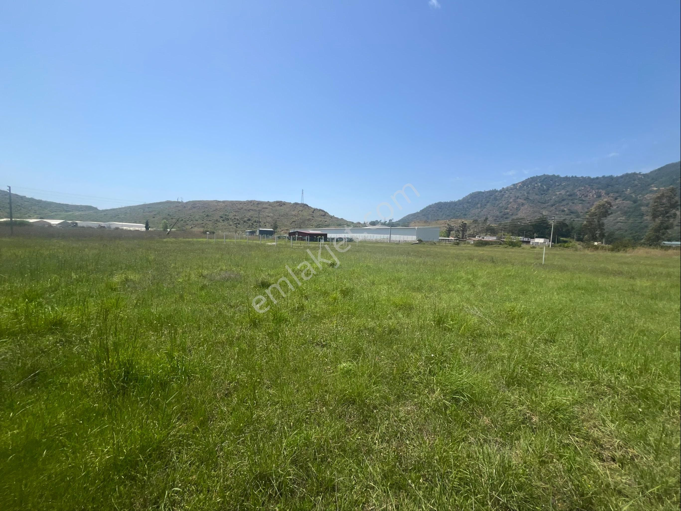 Hisar Önü Dibek Tepe Mevki Arazi - Görsel 8