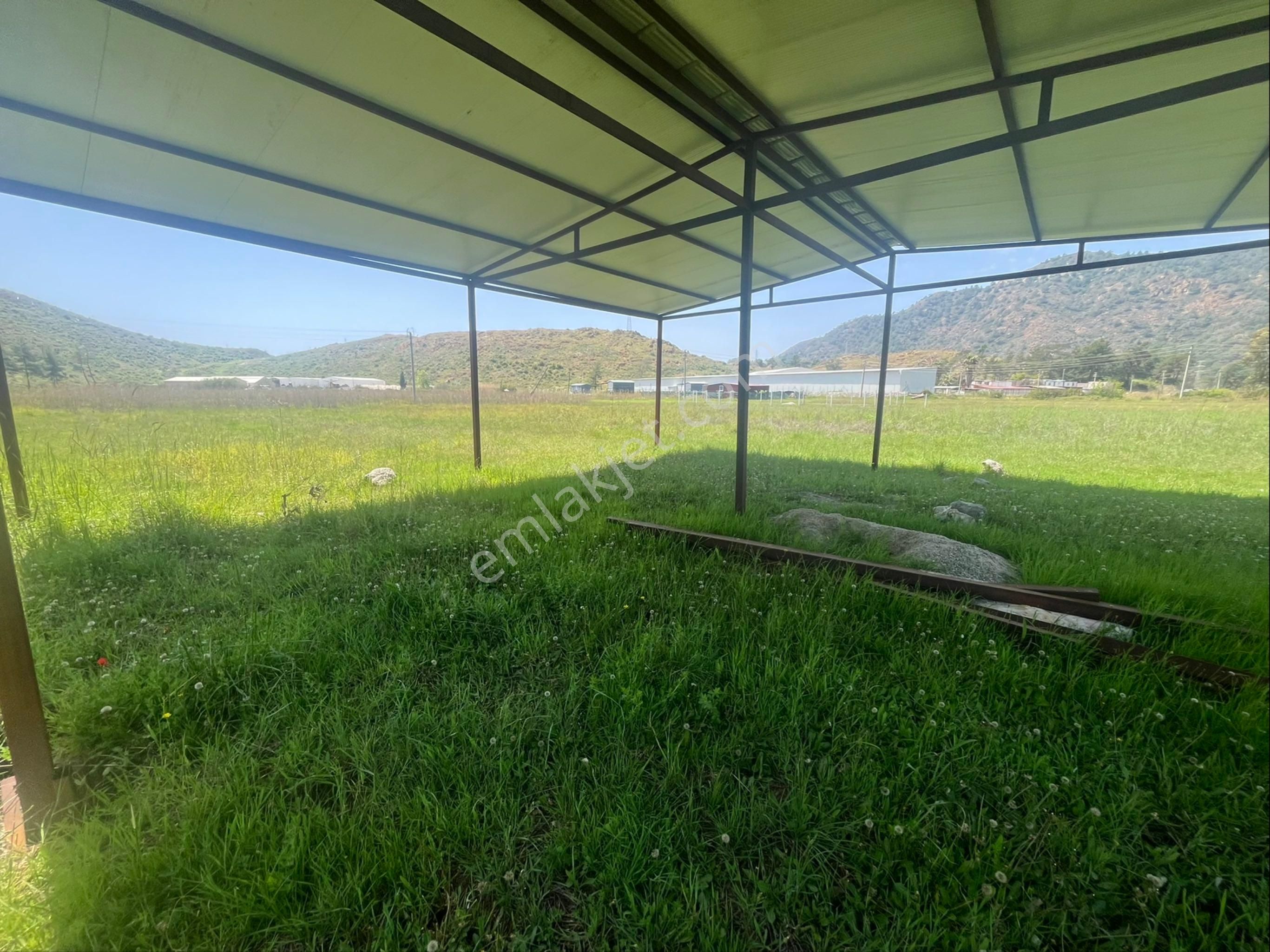 Hisar Önü Dibek Tepe Mevki Arazi - Görsel 5