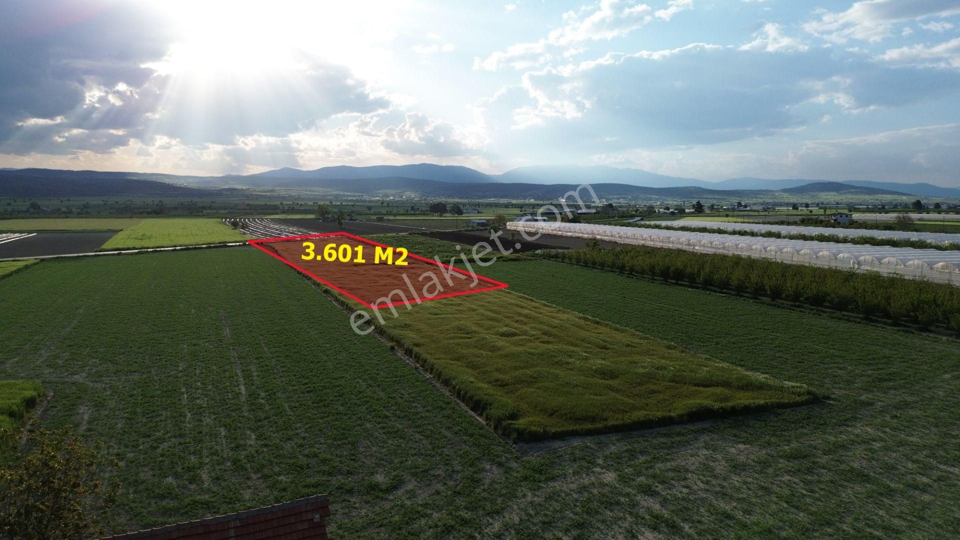 Korkuteli Karataş Mahallesinde 3.601 M2 Yol Kenarında Yerleşim Ve Bahçe Yapımına Uygundur - Görsel 6