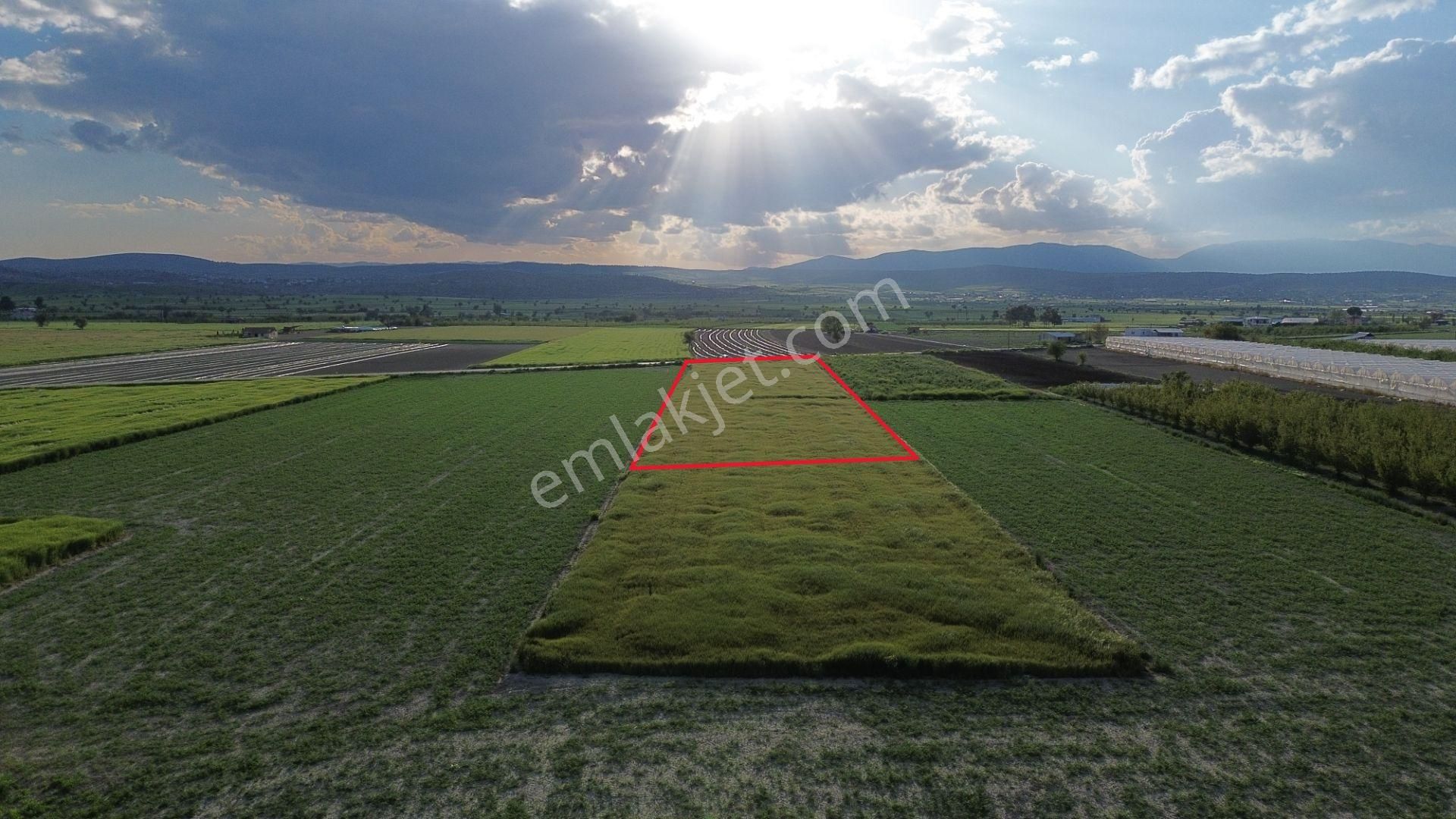 Korkuteli Karataş Mahallesinde 3.601 M2 Yol Kenarında Yerleşim Ve Bahçe Yapımına Uygundur - Görsel 8