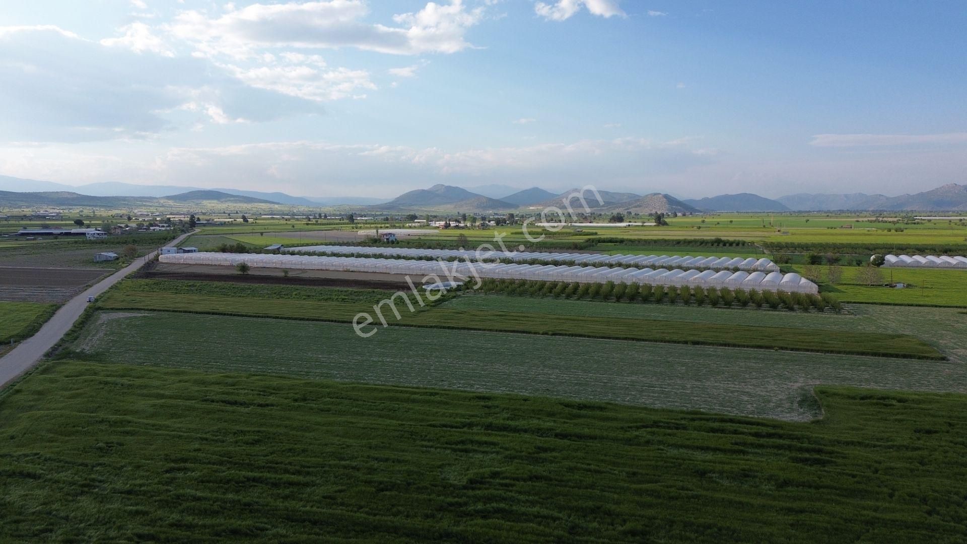 Korkuteli Karataş Mahallesinde 3.601 M2 Yol Kenarında Yerleşim Ve Bahçe Yapımına Uygundur - Görsel 10