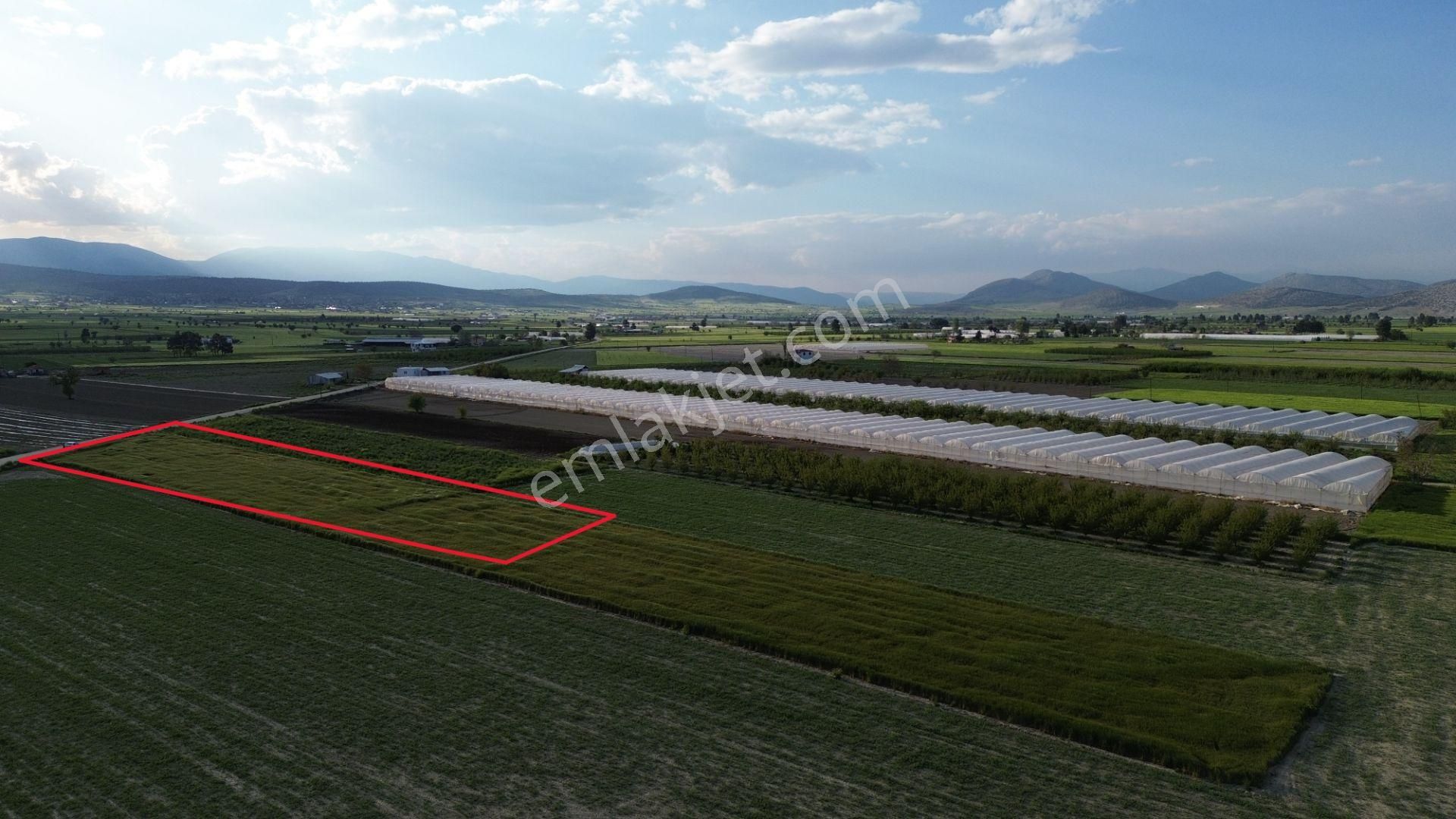 Korkuteli Karataş Mahallesinde 3.601 M2 Yol Kenarında Yerleşim Ve Bahçe Yapımına Uygundur - Görsel 12