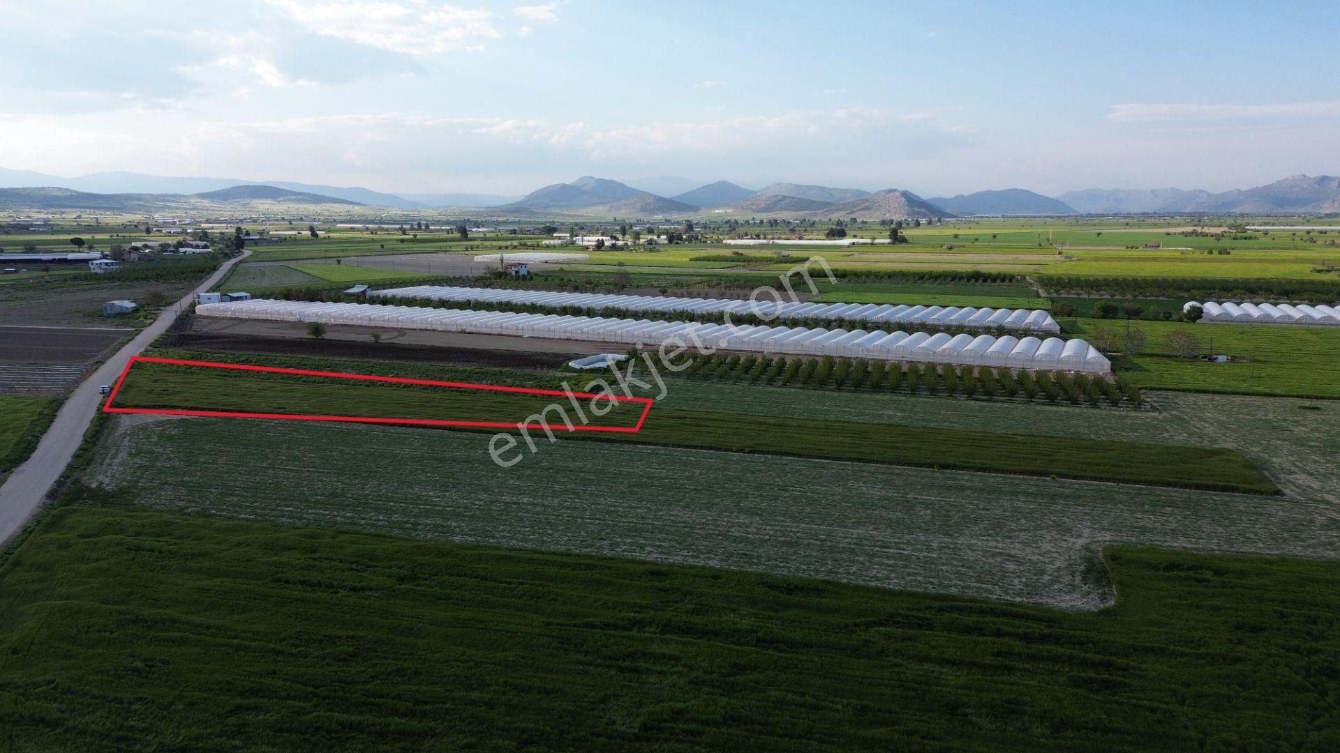 Korkuteli Karataş Mahallesinde 3.601 M2 Yol Kenarında Yerleşim Ve Bahçe Yapımına Uygundur - Görsel 4