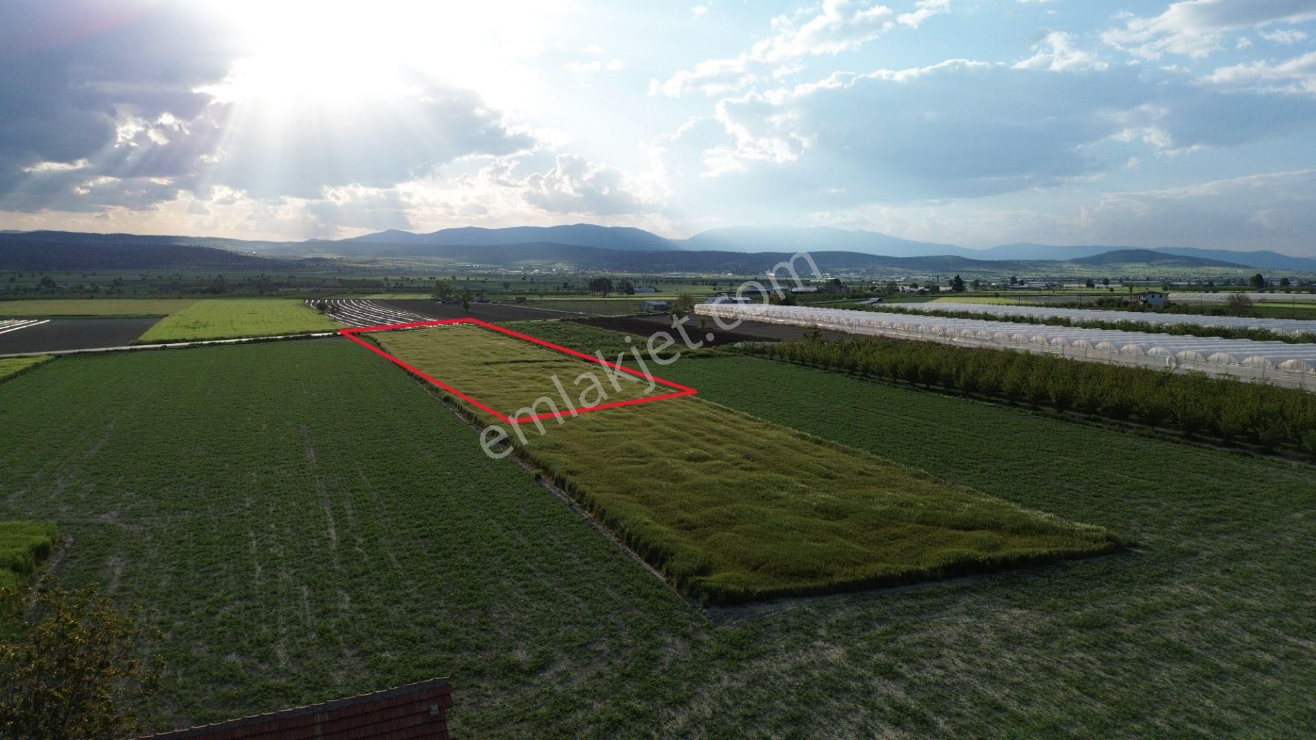 Korkuteli Karataş Mahallesinde 3.601 M2 Yol Kenarında Yerleşim Ve Bahçe Yapımına Uygundur - Görsel 9