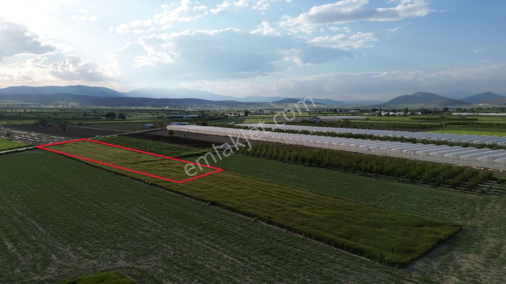 Korkuteli Karataş Mahallesinde 3.601 M2 Yol Kenarında Yerleşim Ve Bahçe Yapımına Uygundur - Görsel 11