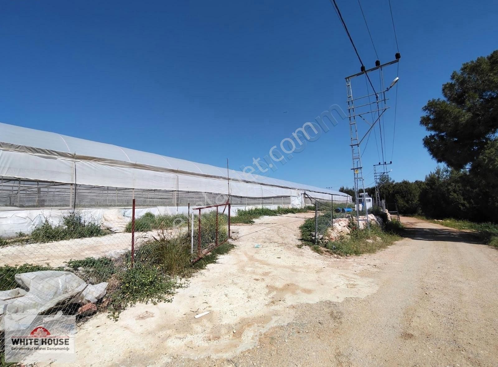 Topallı Mah.10.019m2 Seralıtarla Tohum Gelìştìrìlìr.5.000.000 Tl
