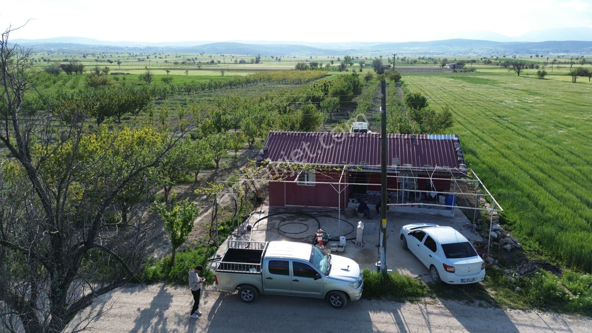 Korkuteli Küçükköy Mahallesinende Naldöken Yolu Kenarında 10 Dönüme Her Çeşit Meyveli Bahçe Ve Ev - Görsel 3