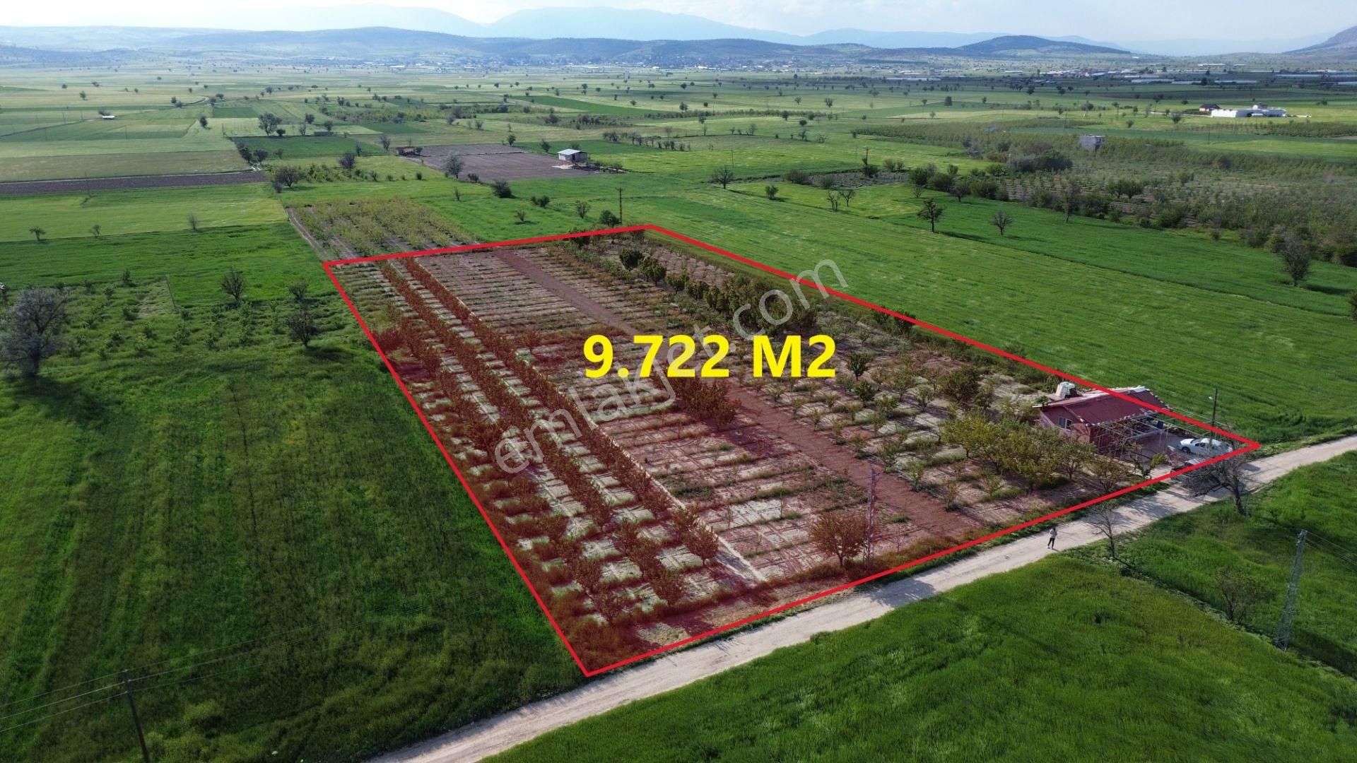 Korkuteli Küçükköy Mahallesinende Naldöken Yolu Kenarında 10 Dönüme Her Çeşit Meyveli Bahçe Ve Ev - Görsel 2