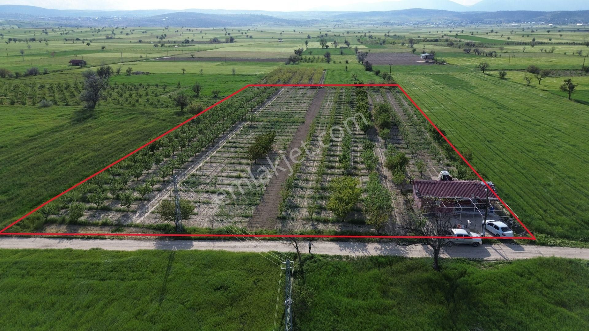 Korkuteli Küçükköy Mahallesinende Naldöken Yolu Kenarında 10 Dönüme Her Çeşit Meyveli Bahçe Ve Ev - Görsel 5