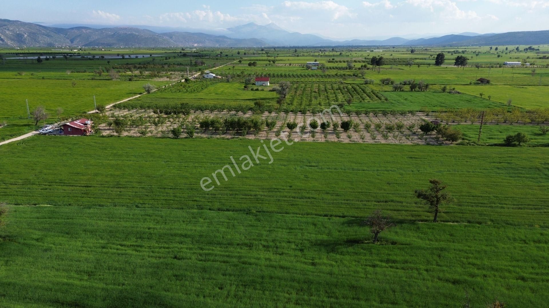 Korkuteli Küçükköy Mahallesinende Naldöken Yolu Kenarında 10 Dönüme Her Çeşit Meyveli Bahçe Ve Ev - Görsel 15