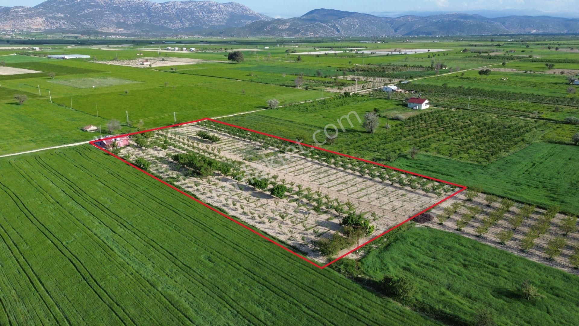 Korkuteli Küçükköy Mahallesinende Naldöken Yolu Kenarında 10 Dönüme Her Çeşit Meyveli Bahçe Ve Ev - Görsel 17