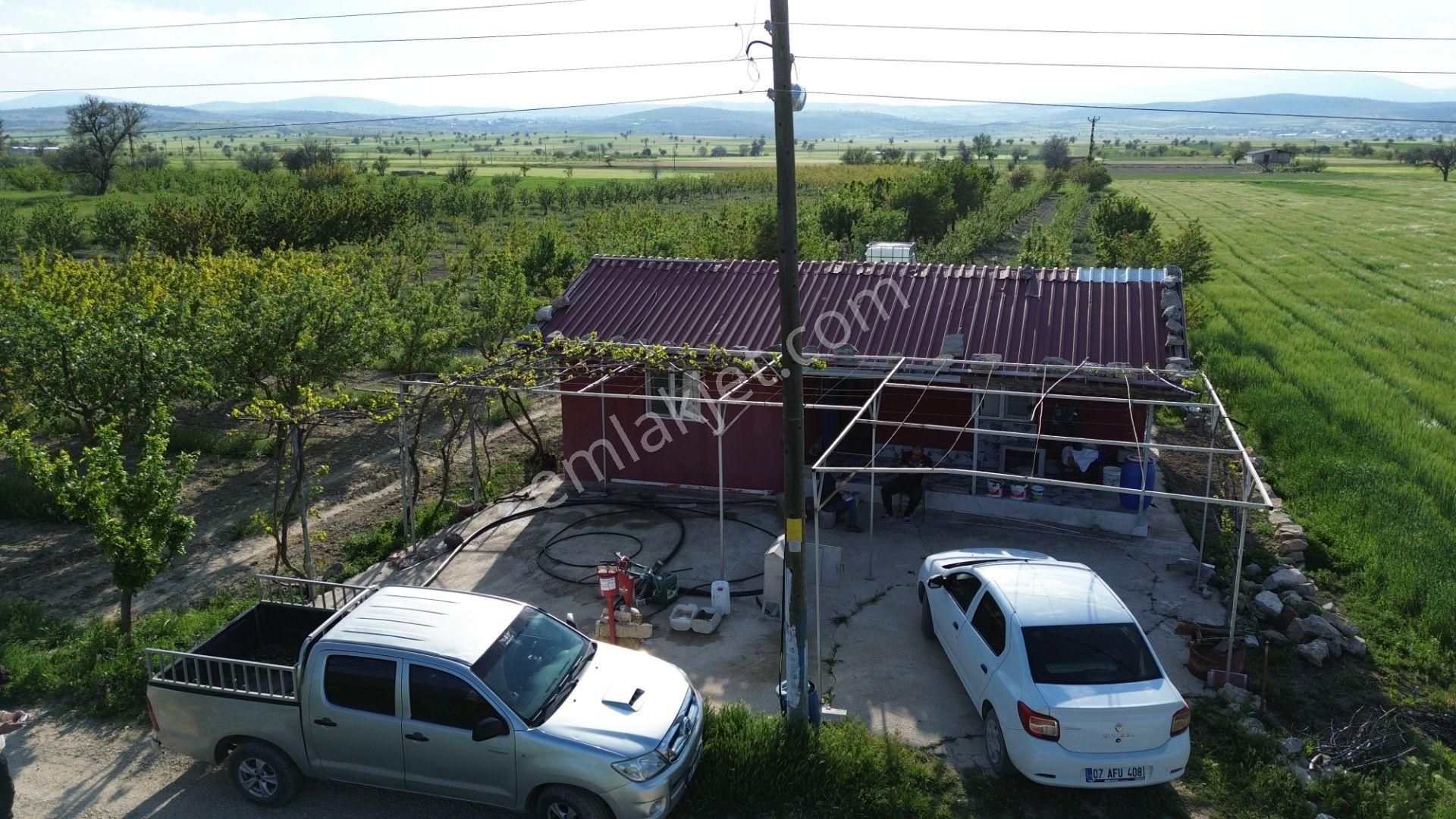 Korkuteli Küçükköy Mahallesinende Naldöken Yolu Kenarında 10 Dönüme Her Çeşit Meyveli Bahçe Ve Ev - Görsel 4
