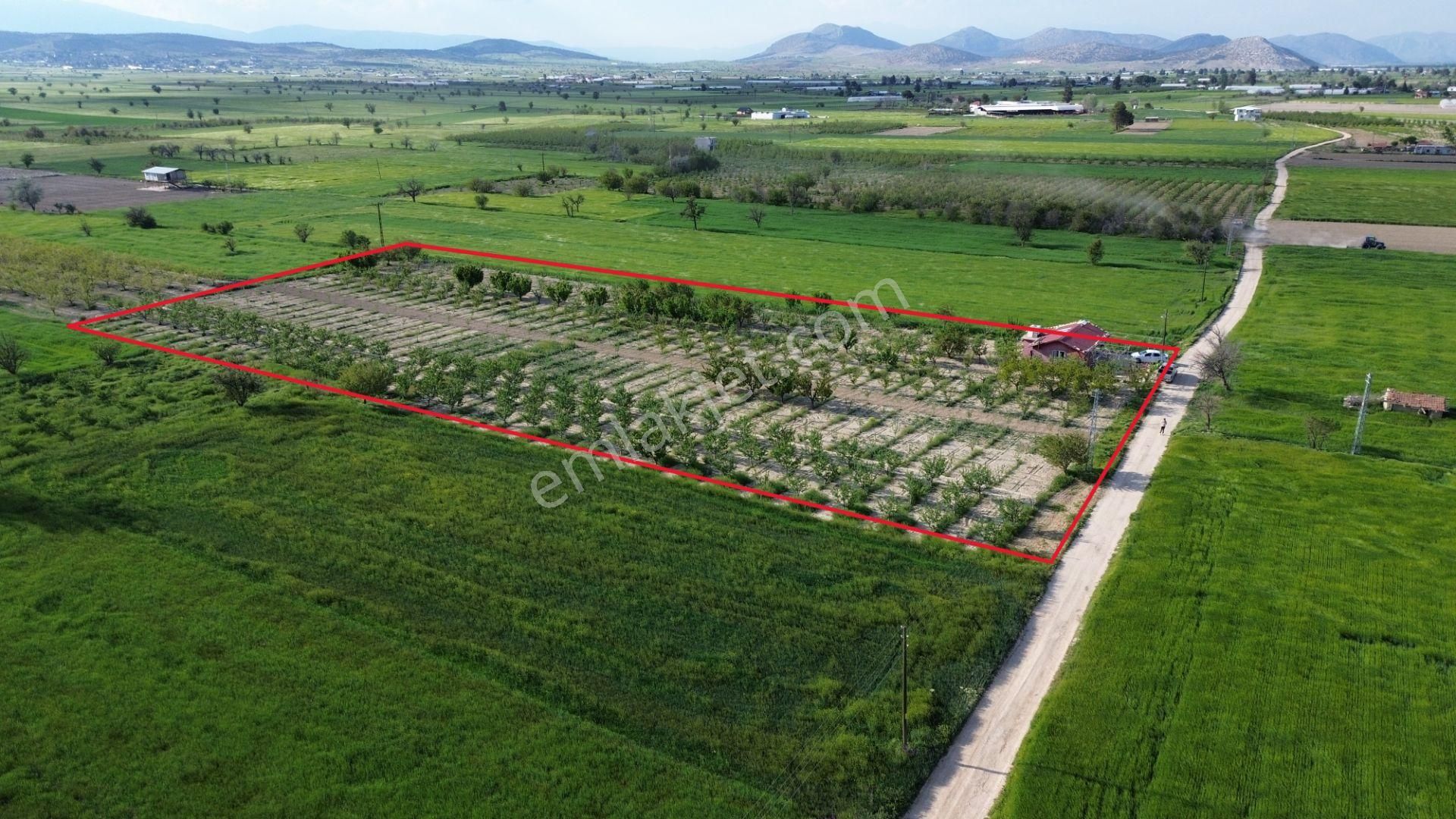 Korkuteli Küçükköy Mahallesinende Naldöken Yolu Kenarında 10 Dönüme Her Çeşit Meyveli Bahçe Ve Ev - Görsel 8