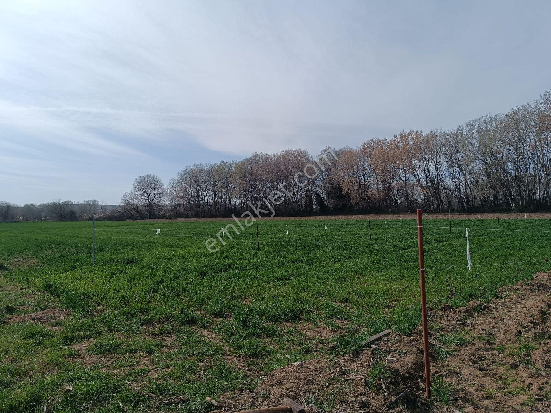 Görükle Sakarya Da 1/5 Hiselli Yeri Beli 450 M2 Tarla