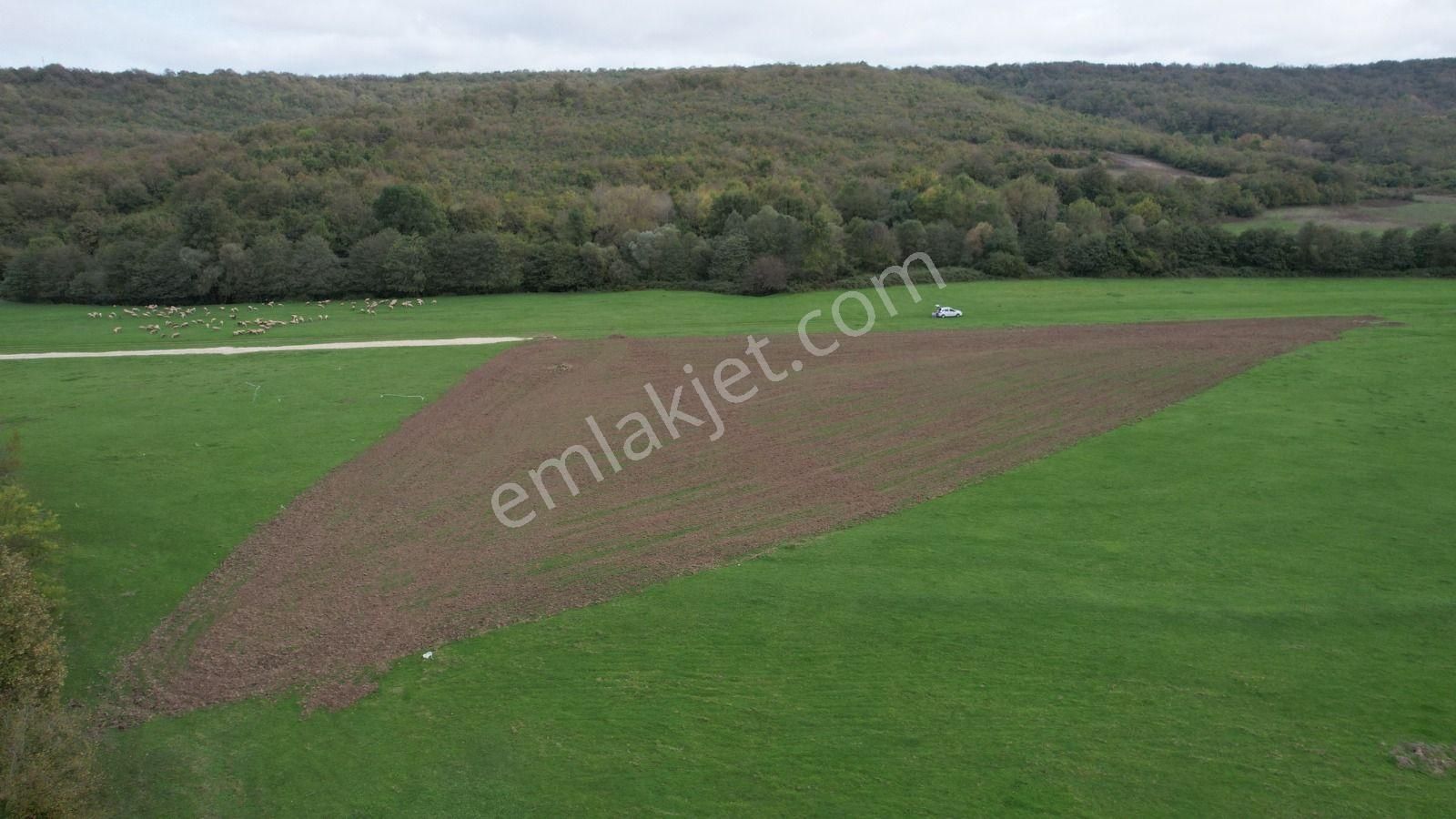 Çatalca Kalfa Köyü'nde Doğanın Kalbinde 7.317 M² Tek Tapu Arsa - Görsel 22