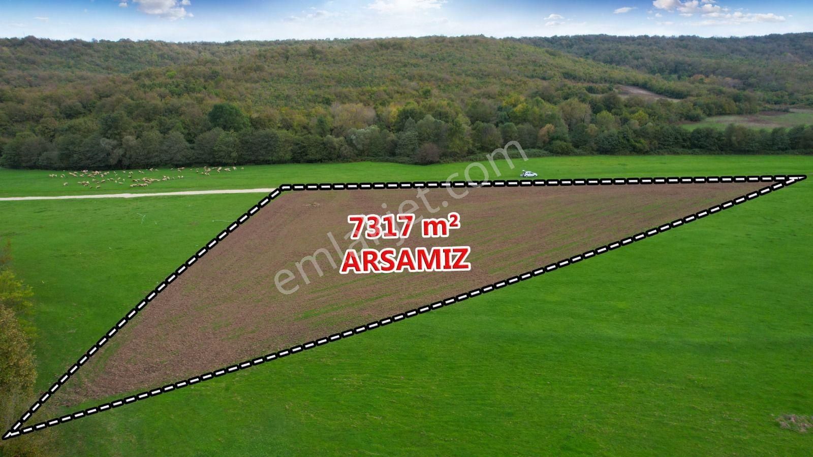 Çatalca Kalfa Köyü'nde Doğanın Kalbinde 7.317 M² Tek Tapu Arsa - Görsel 21