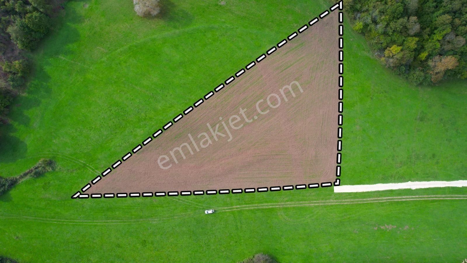 Çatalca Kalfa Köyü'nde Doğanın Kalbinde 7.317 M² Tek Tapu Arsa - Görsel 17