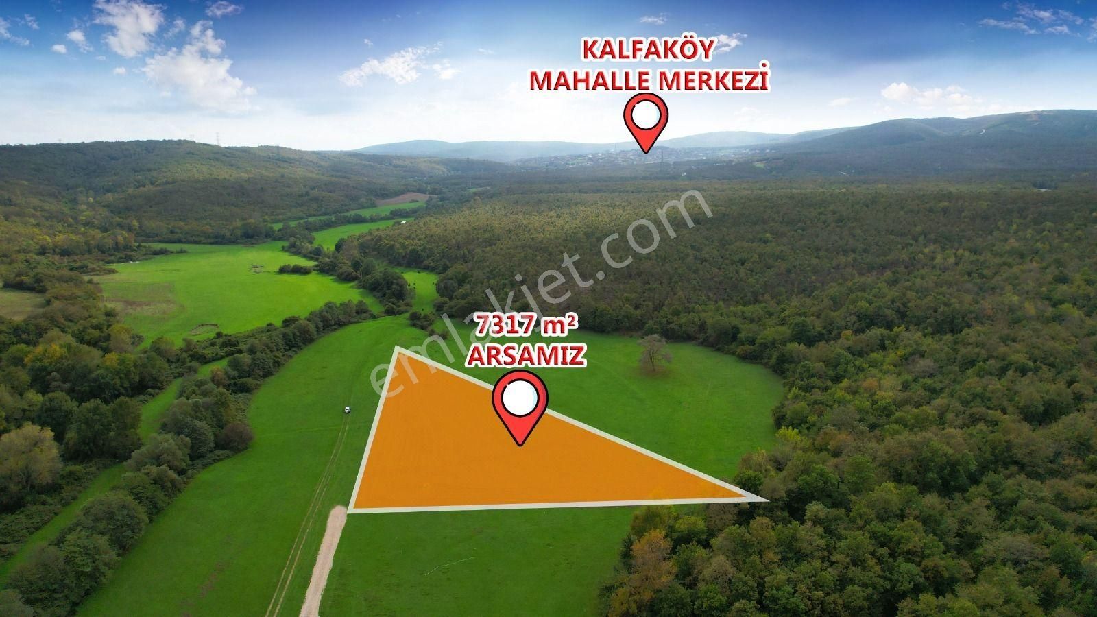 Çatalca Kalfa Köyü'nde Doğanın Kalbinde 7.317 M² Tek Tapu Arsa - Görsel 3