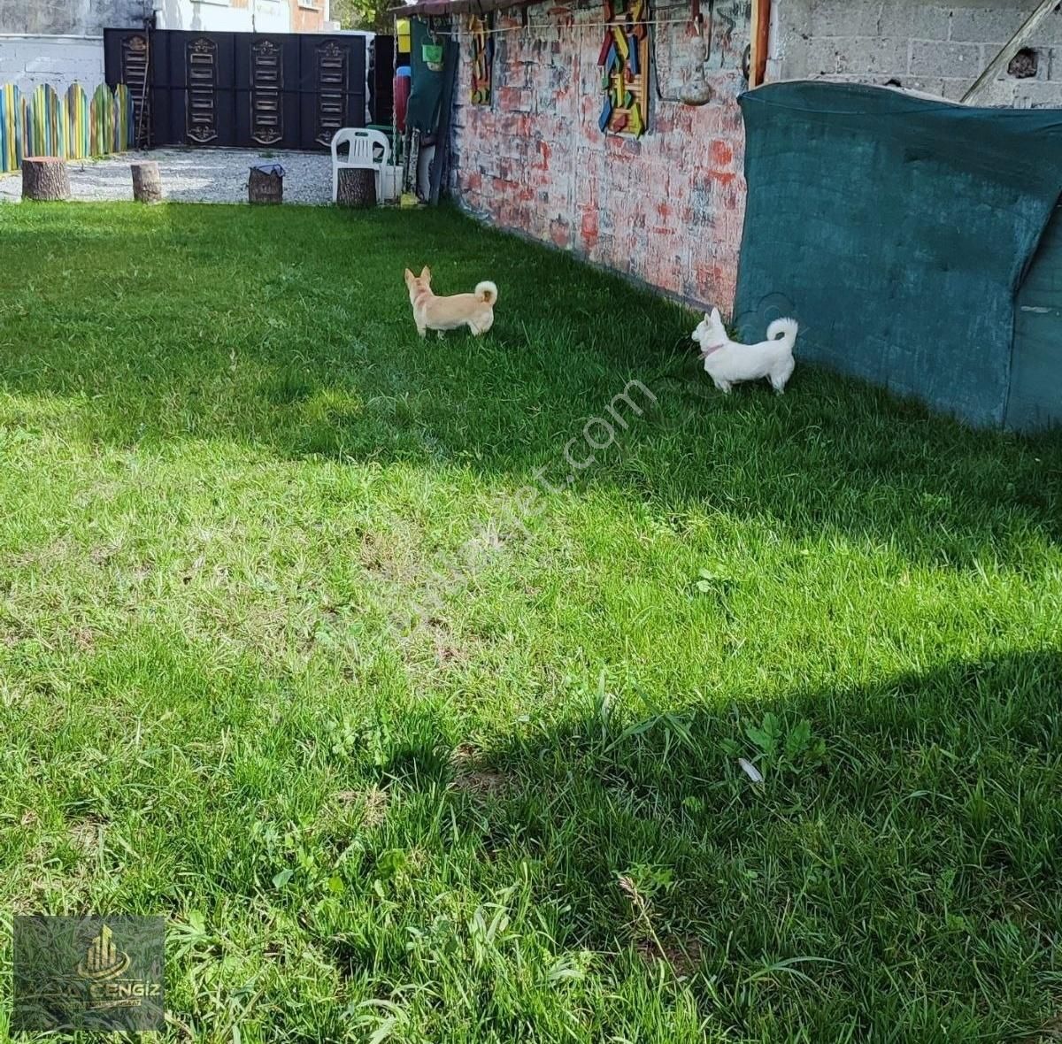 Merkeze Yakın Bakımlı Müstakil Ev Detayları Okuyunuz - Görsel 12