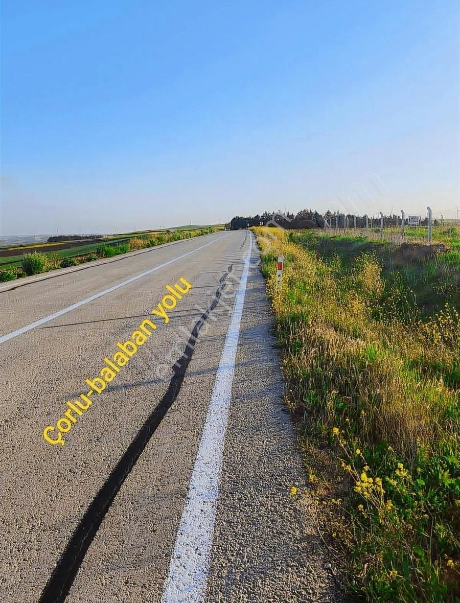 Sarılar Ve Balaban Yollarına Cephe 8.800 M2 Etrafı Çevrili Tarla