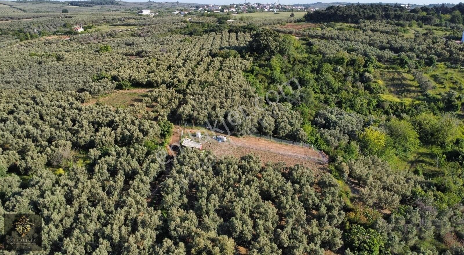Esence Taşpınar Da Doğa Ve Deniz Manzaralı Satılık Hobi Bahçesi - Görsel 14