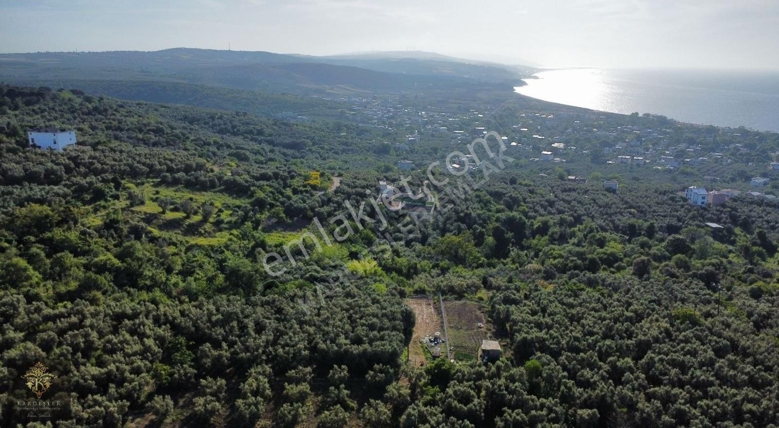 Esence Taşpınar Da Doğa Ve Deniz Manzaralı Satılık Hobi Bahçesi - Görsel 6
