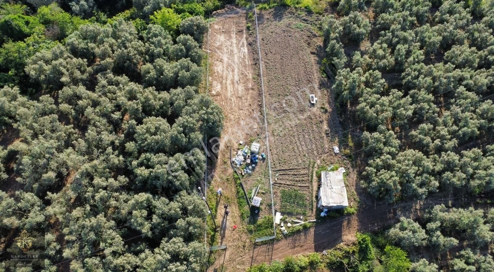 Esence Taşpınar Da Doğa Ve Deniz Manzaralı Satılık Hobi Bahçesi - Görsel 9