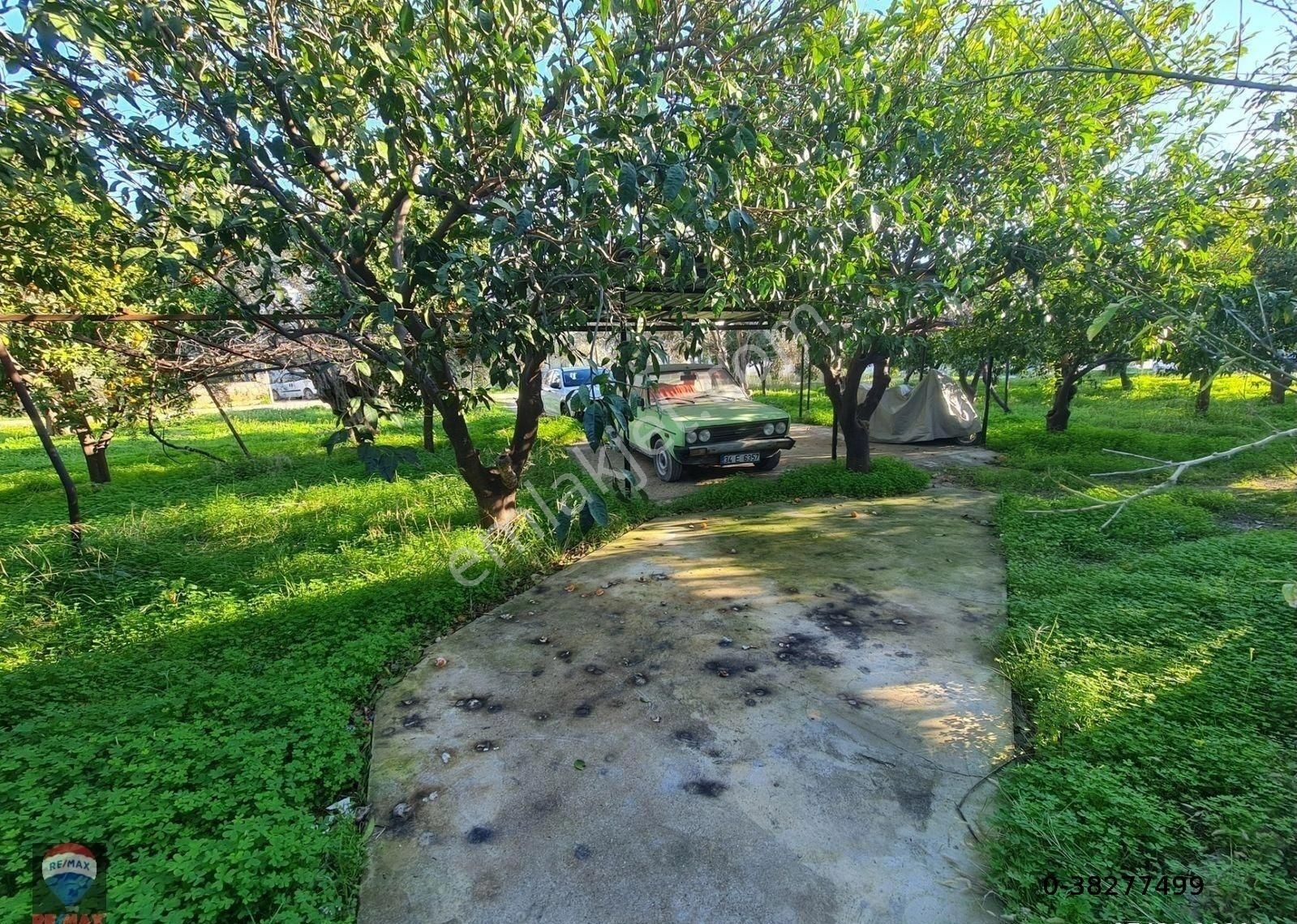 Portakal Bahçeleri İçinde & Denize 400mt Mesafede Müstakil Ev - Görsel 39