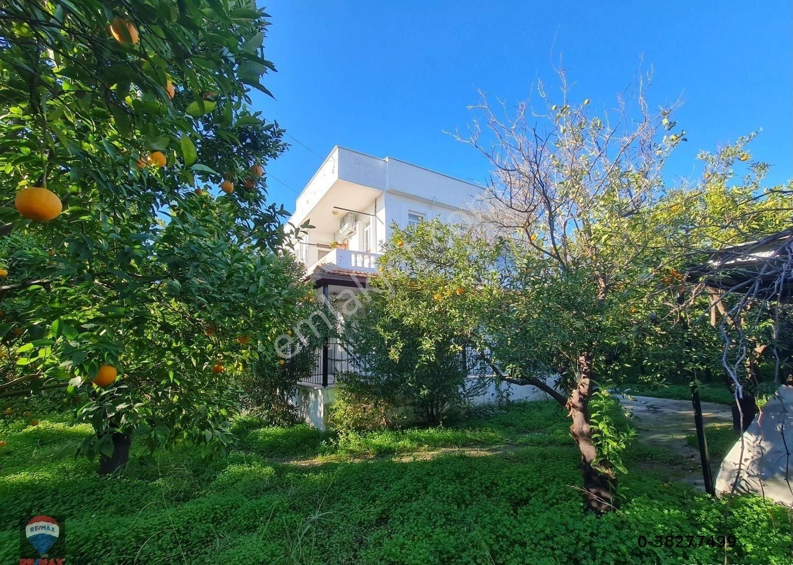 Portakal Bahçeleri İçinde & Denize 400mt Mesafede Müstakil Ev - Görsel 28