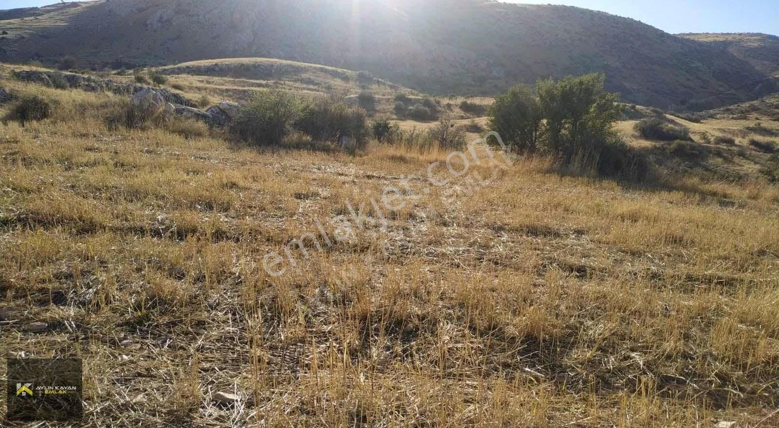 Burdur Kemer'de Sulama Suyu Dibinde Manzaralı Sulak Tarla !!